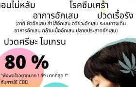 CBD รักษาโรคอะไรได้บ้าง CBD รักษาอาการนอนไม่หลับ วิตกกังวล เครียด โรคซึมเศร้า ปวดเรื้อรัง ไมเกรนต่างๆสวัสดีคลินิก Thailand’s Leading Medicinal Plant, Medical Cannabis Clinic, คลินิกกัญชา กัญชารักษามะเร็ง คลินิกกัญชาทางการแพทย์ กัญชารักษาโรค แพทย์ผู้เชี่ยวชาญกัญชา คลินิกกัญชาที่ไหนดี ยาสมุนไพรรักษามะเร็ง รักษามะเร็งที่ไหน หมอมะเร็งเก่งๆ CBD THC กัญชานอนไม่หลับ รักษามะเร็งหาย กัญชารักษามะเร็งหายไหม แพทย์หญิงจินตนา คลินิกกัญชาดีดี cancer, cannabinoid, cannabis in thailand, cbd, health bangkok, marijuana, medical cannabis, sawasdee clinic, thai clinic, thai herb, thai medicine, thailand cannabis, thc, กรุงเทพ, กัญชง, กัญชา, กัญชาการแพทย์, กัญชารักษามะเร็ง, กัญชารักษาโรค, กัญชาแก้ปวด, คลีนิก, คลีนิกกัญชา, คีโม, นอนไม่หลับ, มะเร็ง, มะเร็งระยะสุดท้าย, มะเร็งลำไส้, ยากัญชา, สมุนไพรไทย, สวัสดีคลีนิกเวชกรรม, สุขภาพผู้หญิง, เคมีบำบัด, เครียด, แพทย์แผนไทย, แพทย์หญิงจินตนา, พาร์กินสัน, ซึมเศร้า