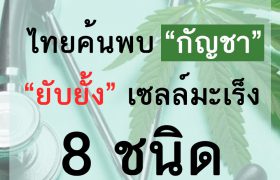 ไทยพบกัญชายับยั้งเซลล์มะเร็ง 8 ชนิด Cannabis clinic doctor Bangkok thailand