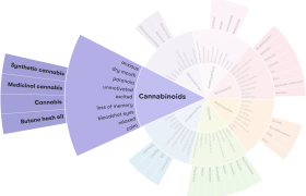 cannabinoid system เล่าถึงรายละเอียดสารสำคัญของกัญชาว่ามีประโยชน์อย่างไรบ้าง สวัสดีคลินิก Thailand’s Leading Medicinal Plant, Medical Cannabis Clinic, คลินิกกัญชา กัญชารักษามะเร็ง คลินิกกัญชาทางการแพทย์ กัญชารักษาโรค แพทย์ผู้เชี่ยวชาญกัญชา คลินิกกัญชาที่ไหนดี ยาสมุนไพรรักษามะเร็ง รักษามะเร็งที่ไหน หมอมะเร็งเก่งๆ CBD THC กัญชานอนไม่หลับ รักษามะเร็งหาย กัญชารักษามะเร็งหายไหม แพทย์หญิงจินตนา คลินิกกัญชาดีดี cancer, cannabinoid, cannabis in thailand, cbd, health bangkok, marijuana, medical cannabis, sawasdee clinic, thai clinic, thai herb, thai medicine, thailand cannabis, thc, กรุงเทพ, กัญชง, กัญชา, กัญชาการแพทย์, กัญชารักษามะเร็ง, กัญชารักษาโรค, กัญชาแก้ปวด, คลีนิก, คลีนิกกัญชา, คีโม, นอนไม่หลับ, มะเร็ง, มะเร็งระยะสุดท้าย, มะเร็งลำไส้, ยากัญชา, สมุนไพรไทย, สวัสดีคลีนิกเวชกรรม, สุขภาพผู้หญิง, เคมีบำบัด, เครียด, แพทย์แผนไทย, แพทย์หญิงจินตนา, พาร์กินสัน, ซึมเศร้า
