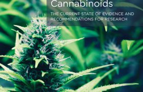 cannabis research sawasdeeclinic