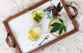 Cannabis clinic doctor Bangkok thailand thai cannabis for pain กัญชารักษาปวด ชากัญชา ยากัญชา