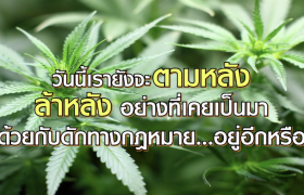 สวัสดีคลีนิก กัญชาทางการแพทย์ กัญชารักษาโรค กัญชารักษามะเร็ง