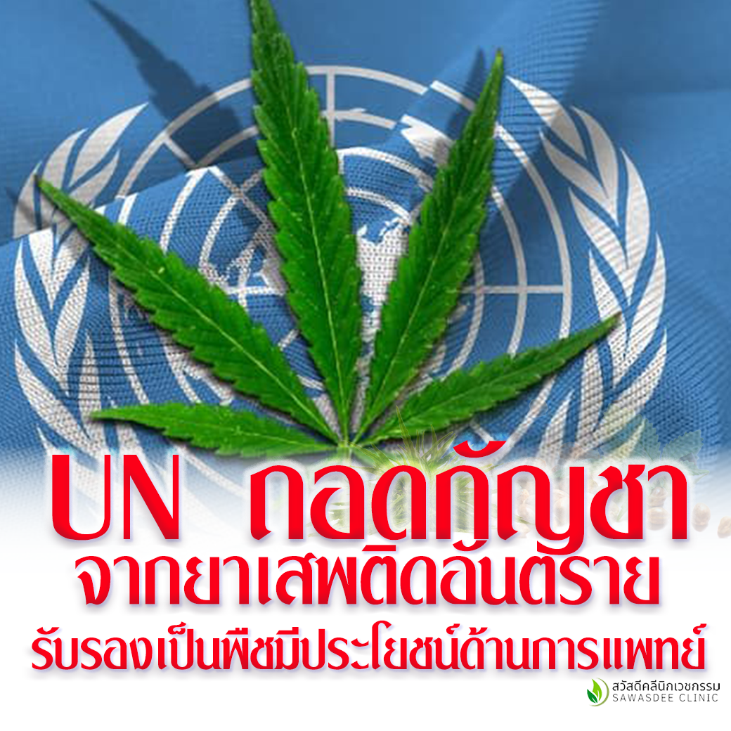 UN-ถอดกัญชา-จากยาเสพติด