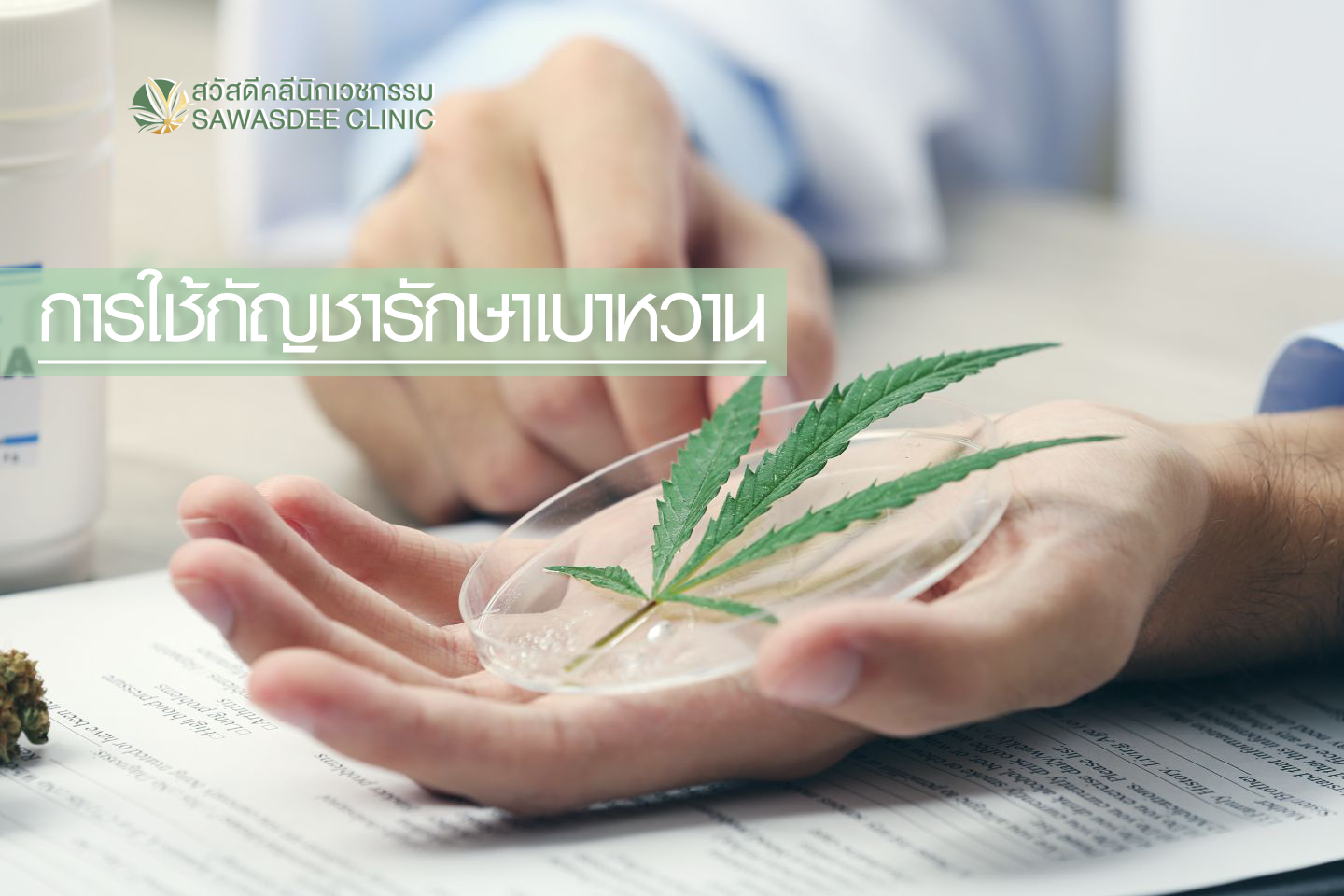 เบาหวาน รักษาด้วยกัญชา cannabis bangkok