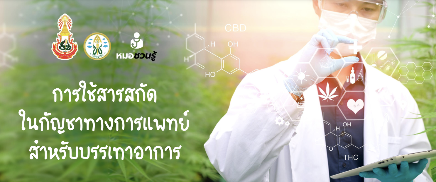 คำแนะนำการใช้กัญชา น้ำมันกัญชาอย่างไร หมอแนะนำใช้กัญชาในคนไข้มะเร็งบรรเทาอาการปวด สวัสดีคลินิก